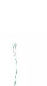 Hooker Ch.1-42 (English) (Ongoing)