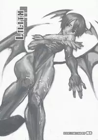 (C74) [Hohgakuya (Tohzai, Namboku)] ROUND02 (Darkstalkers)