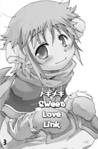 (C71) [EGO DANCE (Nanamatsu Kenji)] Tokimeki Sweet Love Link (Summon Night 2)