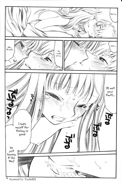 (C72) [Emode (Sanada Rin)] Shiawase o Ushinau no Naraba Kinyoku Nado Gu no Kocchou (Spice and Wolf) [English]