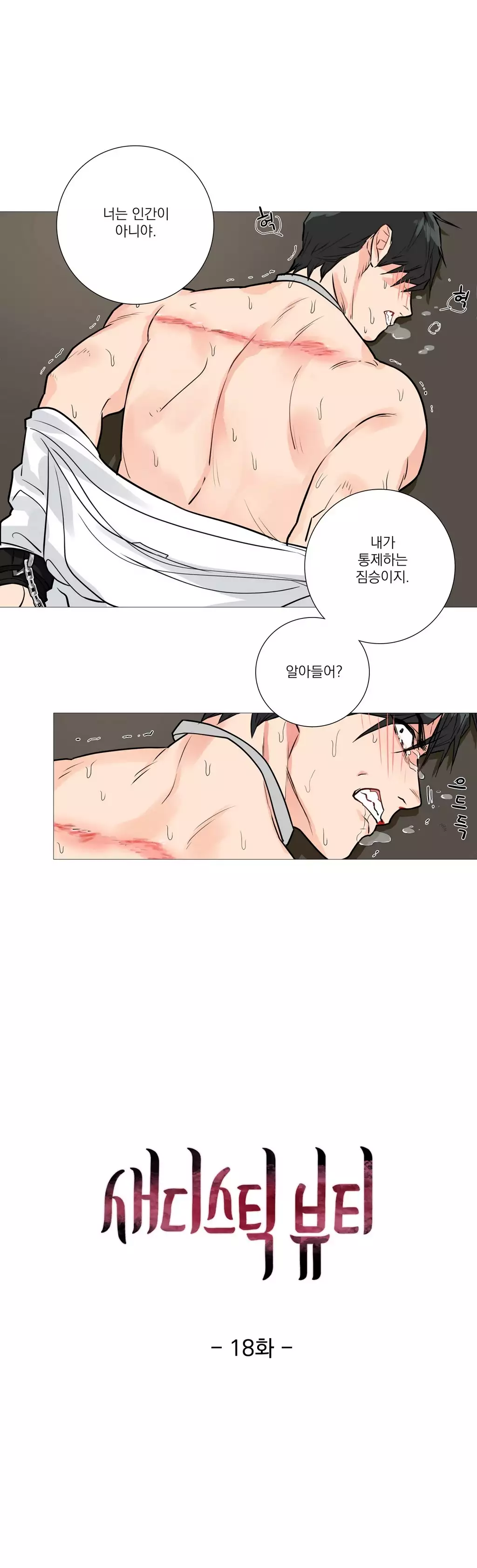 Sadistic Beauty Ch.0-30