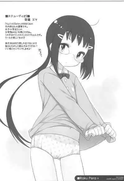 Raku Pera+ 2013-2014