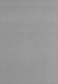 (C93) [Renainou (Mizuyuki)] Mondaiji no Shitsuke [Chinese] [無邪気漢化組]