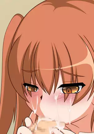 TS Mesu Ochi ~Netami no Taishou datta Aite ni Mesu Ochi saserarete Iku Hanashi~