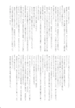 Ho kan shōnen Special Mission