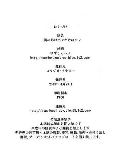 (COMIC1☆15) [Studio Wallaby (Yuzu Syrup)] Boku no Ane wa Boku dake no Mono [Chinese] [爱弹幕汉化组]