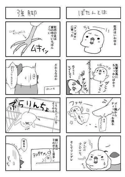 Shota ga Tame ni Bel wa Naru 2