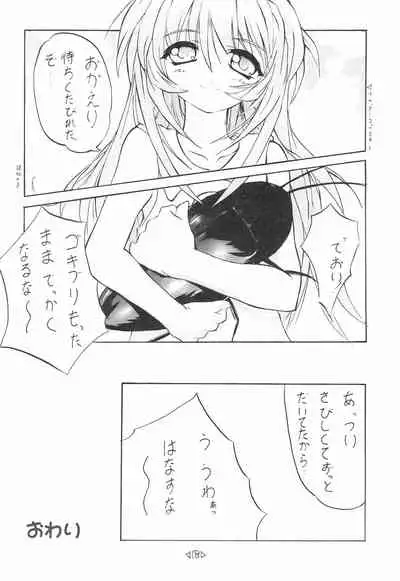 CAPCOM CONSUMER COLLECTION