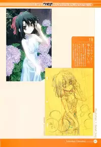 SummerDays & School Days Visual Collection