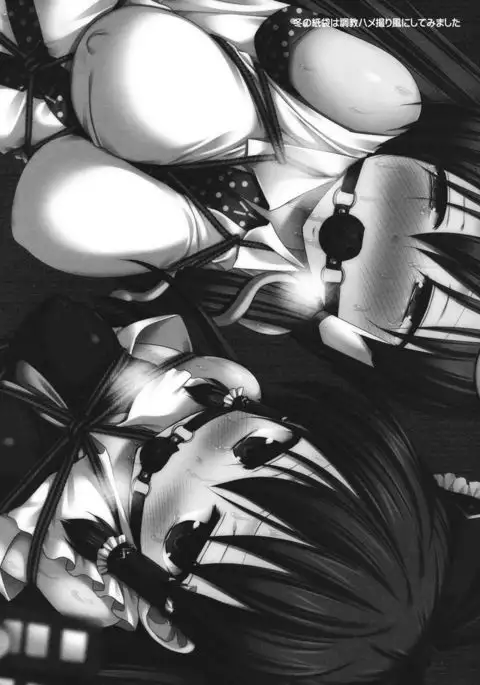 Touhou Choukyou Shiki Sanae