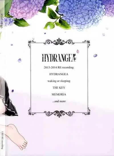 HYDRANGEA 1-2.5