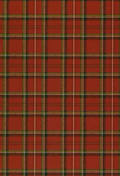 Youichi ga Maid Fuku Kite kureru Hon