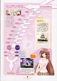 [設定資料集]SHUFFLE! Visual Fan Book