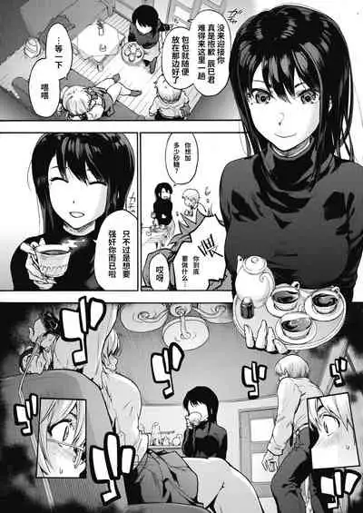 Harem cult | 后宫狂热