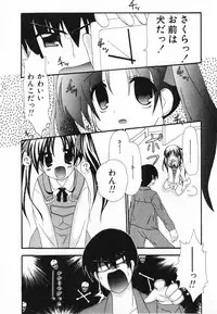 [Shiira Sara] LOVE & PEACE