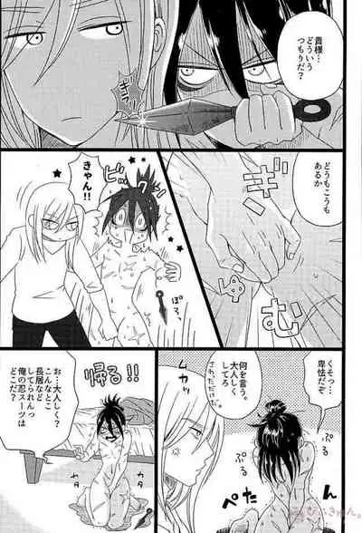 Hakoiri Ninja Gaiden Emaki