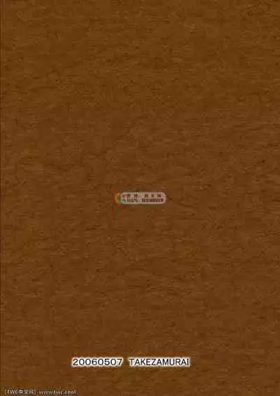 (Osuket 3) [Itachi Gokko (Takezamurai)] meet again (Final Fantasy XII) [Chinese] [同文城]