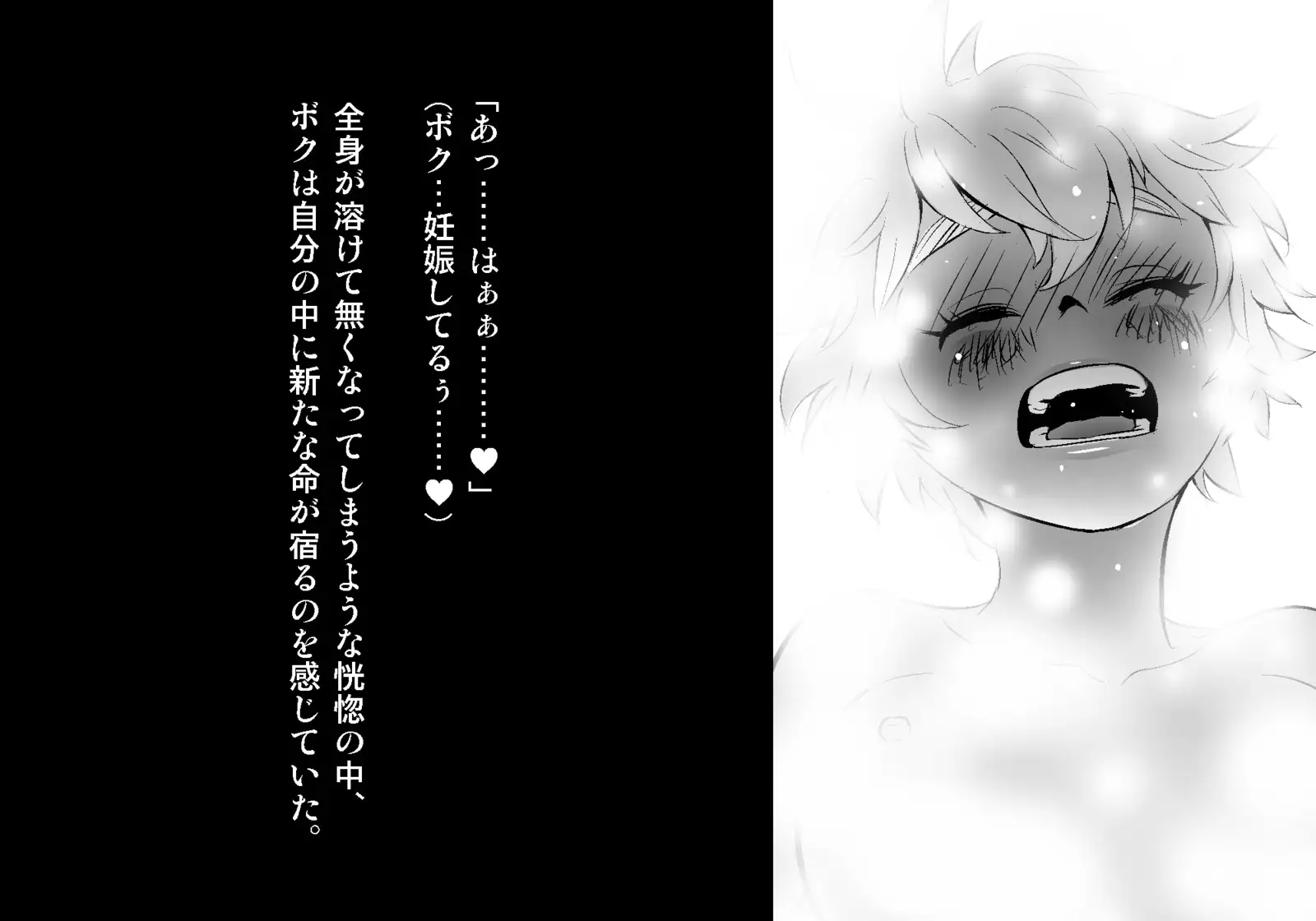 フェアリーセティ