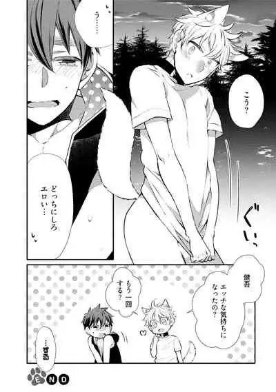 Wolves and Erotic Things