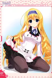 (C85) [GRAPEFRUIT (Shintarou)] Favorites 2013 (Infinite Stratos)