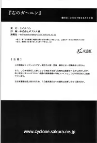 (C72) [Cyclone (Izumi Kazuya)] Migi no Ga~nin (Dead or Alive)