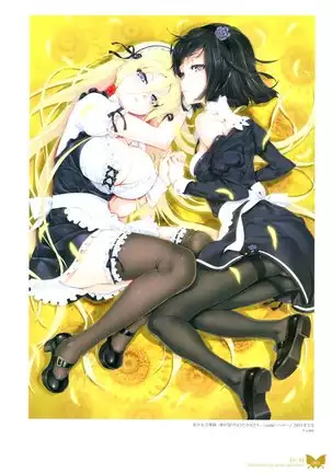 八宝備仁画集 紅蝶（ほてり）