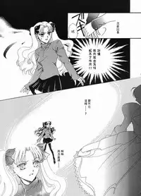 (C65) [Hanakaidou (Hanakaidou Yukio)] The Plastic Moon (Fate/stay night) [Chinese]