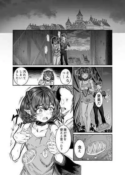 Dorei o Choukyou shite Harem Tsukuru 2 ~ Dizzy-hen