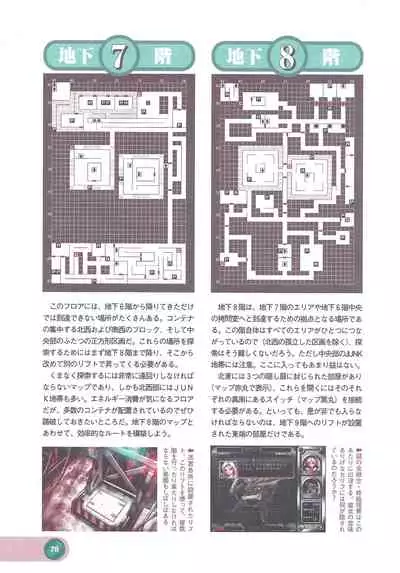 Official Alicesoft Full Completion Guide 2 (PC-CUPID)