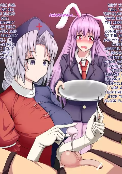 Eirin and Udonge Commit an Orchiectomy