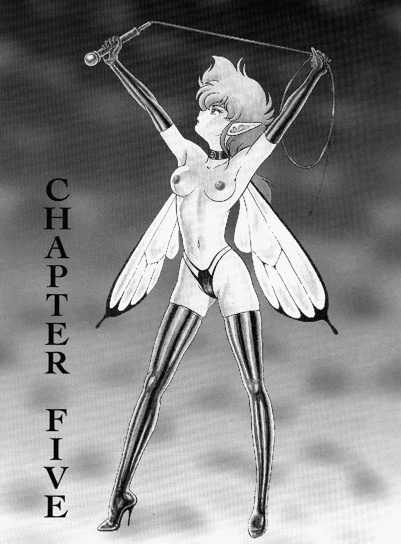 Bondage Fairies Vol2 - CH5