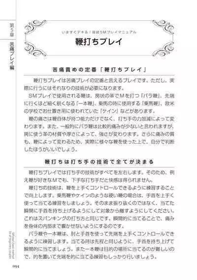 いますぐデキる 図説SMプレイマニュアル