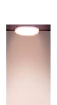 [PINKO] Scandal of the Witch Ch.1-28 (English) (Ongoing)