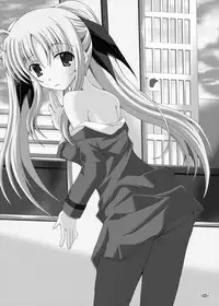 (C77) [Dream Project (Yumeno Shiya)] Fate to Nanoha no Tsuukin Rush (Mahou Shoujo Lyrical Nanoha)