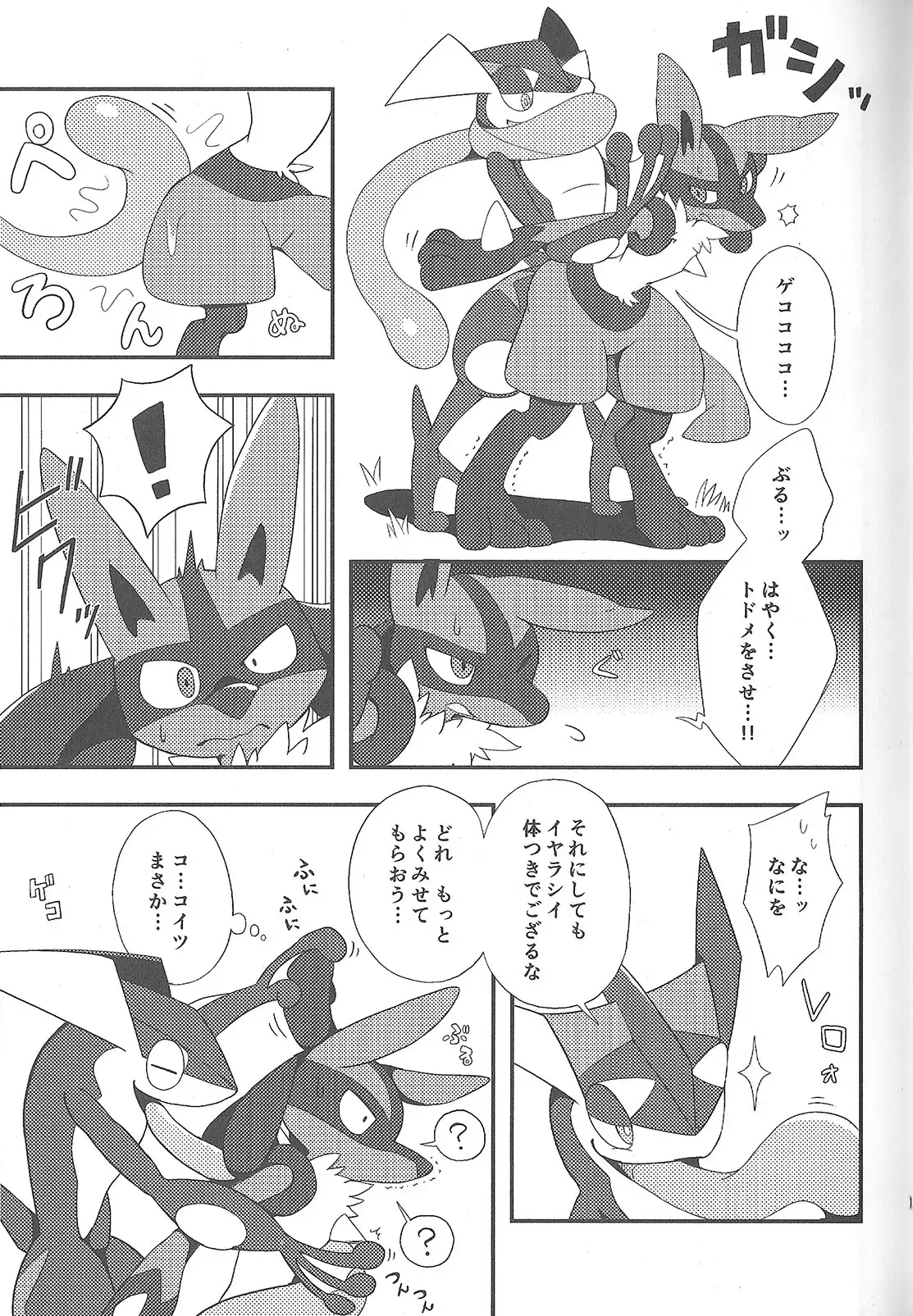 LUCARIO IJIME ANTHOLOGY