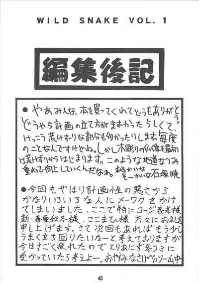 (C48) [Hoya GREAT Syoukai (Various)] WILD SNAKE Vol.1 (El Hazard)