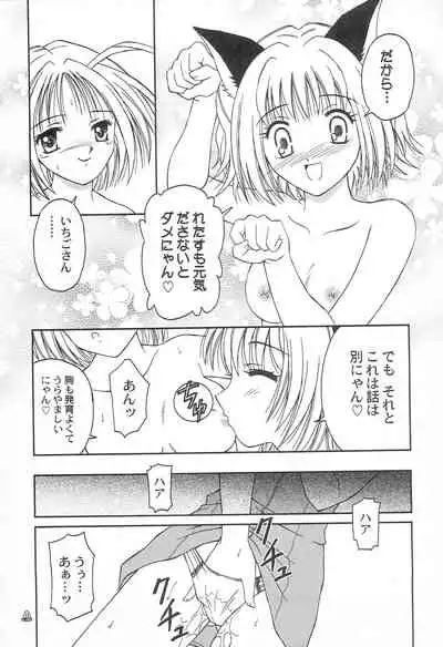 [Happy Kamu Kamu, PISCES (Masaki Gunji, Hidaka Ryou)] Saturday Morning Musume. (Tokyo Mew Mew, Full Moon o Sagashite)