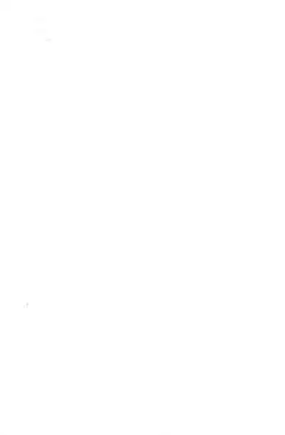 (C97) [econokicks (∠ren)] Mayoi Mine (Bakemonogatari)