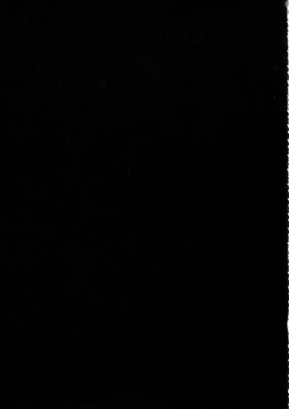 シンイマックスマッタナシ!4