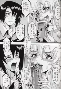 [St. Rio (Kitty, Kouenji Rei)] COSMIC BREED 5 (Gundam SEED DESTINY)