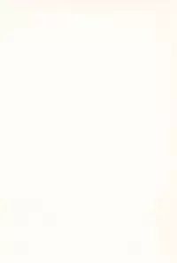 (C93) [EX35 (Kamaboko RED)] Denki no Chikaratte Sugee! (Bakusou Kyoudai Let's & Go!!) [Chinese] [罗洁爱儿个人汉化]