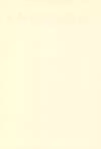 [St.LUGER POWER (D.HIRANUMA)] Kero-chan to Issho (Card Captor Sakura)