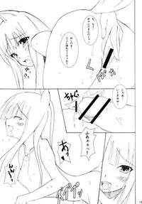 (COMIC1☆2) [Kou Kidou Shoujo (Fujisaki Sora)] Naked Spice (Spice and Wolf)