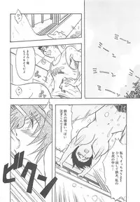 [IDEA] Sisters kyodai ～Demi human～