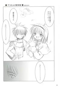 [観月堂] 電撃ラグナ (RO)