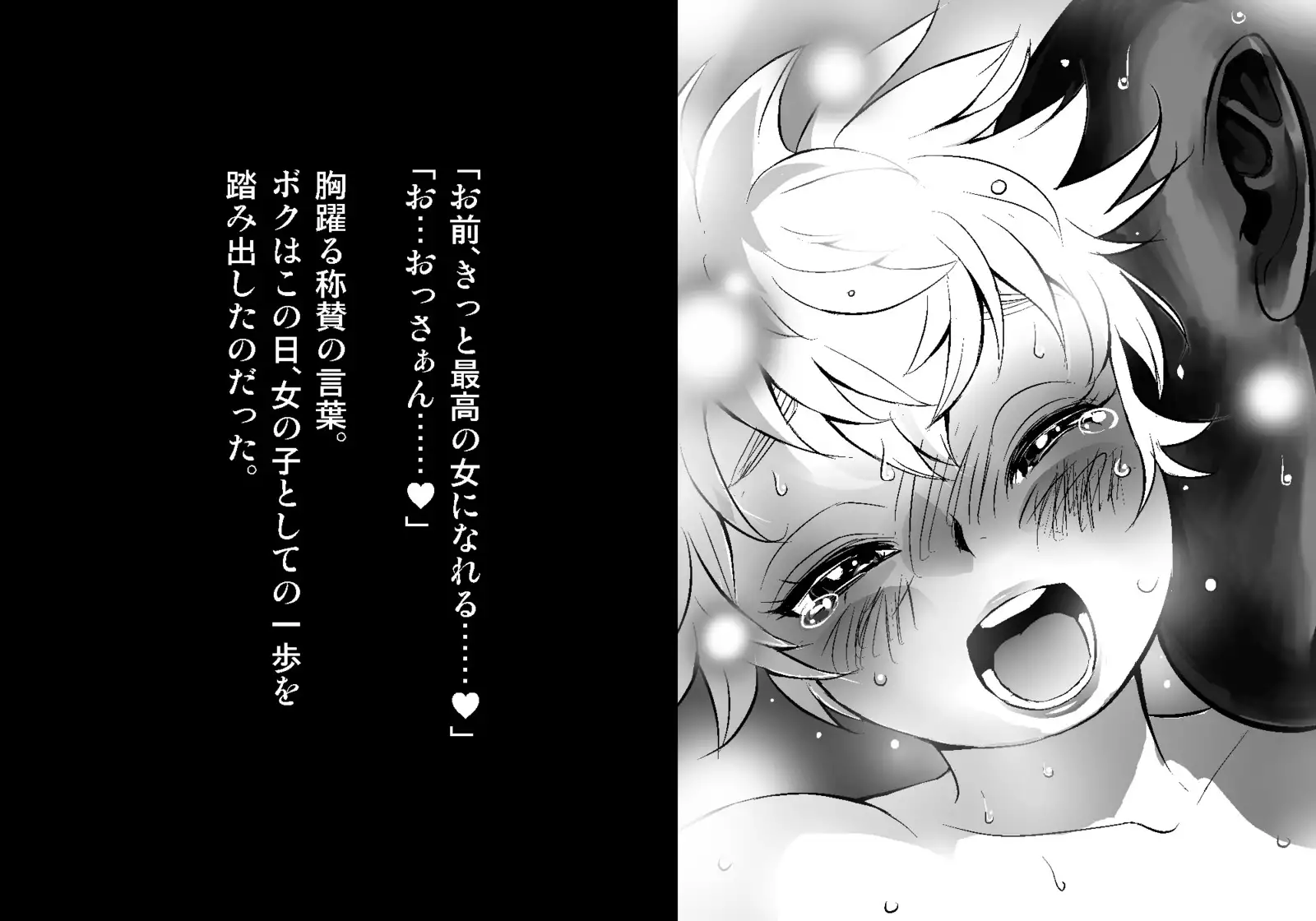 フェアリーセティ