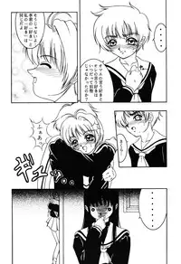 (C57) [Forbidden City (Kikusui)] Hana ni Arashi no Rei hemo Aruzo (Card Captor Sakura)