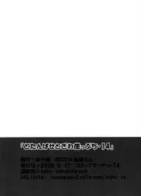 (C74) [Toko-ya (HEIZO, Kitoen)] Dotanba Setogiwa Gakeppuchi 14 (Breath of Fire II)