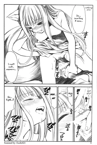 (C72) [Emode (Sanada Rin)] Shiawase o Ushinau no Naraba Kinyoku Nado Gu no Kocchou (Spice and Wolf) [English]