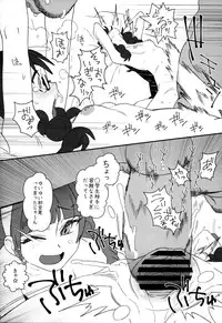 (C88) [zero-sen (xxzero)] Shiritsu Noble Gakuen Seitokai (Go! Princess PreCure)